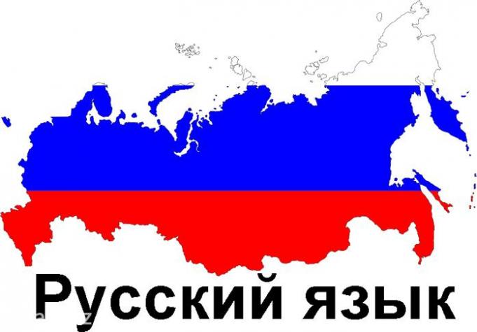 Курсы русского языка для взрослых Курсы русского языка для взрослых