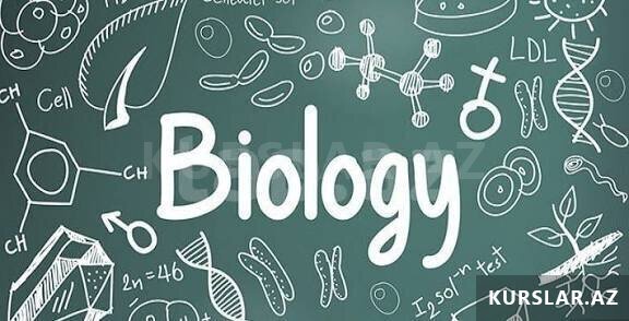 Biologiya Hazırlığı Biologiya Hazırlığı