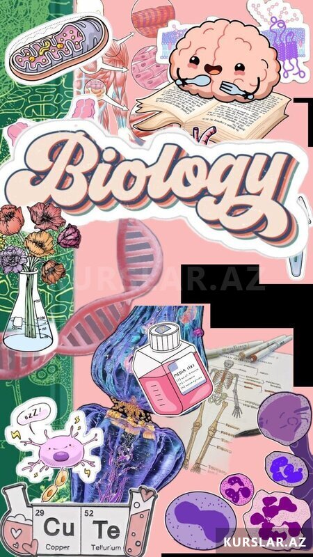 6-7ci siniflər üçün biologiya hazırlıq kursu 6-7ci siniflər üçün biologiya hazırlıq kursu