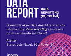 Data Reporting (bi)