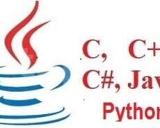 C, C++, Java, C#, Python və Oracle kursları