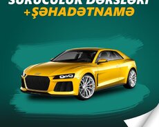 sürücülük kurslari