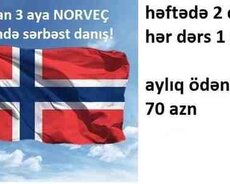 Norveç dili kursu