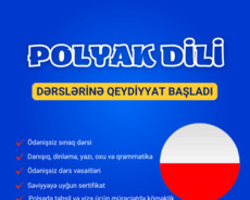 Online Polyak dili dərsləri
