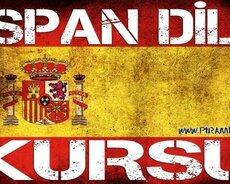 İspan dili Amerikada ikinci rəsmi dildir