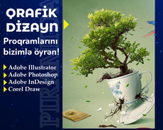 Qrafik dizayn kursuna qeydiyyat başladı