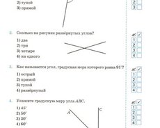 Математика и русский 1-7 класс