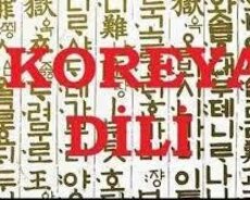Koreya dili kursları