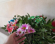 Online Azərbaycan dili və Ədəbiyyat