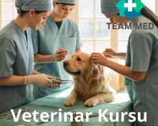 Veterinar (Baytar Kursu)