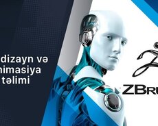 3D dizayn və animasiya təlimi