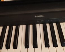 Piano dərsləri