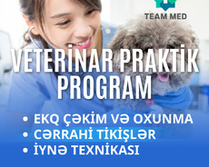 Veterinar Praktik Program