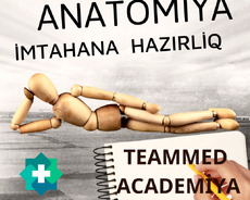 Anatomiya İmtahana Hazırlıq Kursu