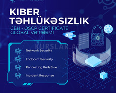 Cyber Security (Global Certificate)