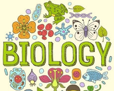 Biologiya müəllimi