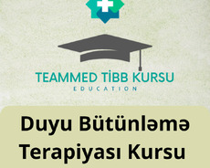 Duyu Bütünləmə Terapi Kursu