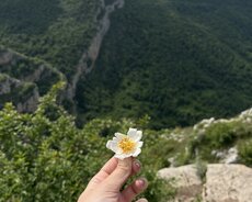 Coğrafiya müəllimi