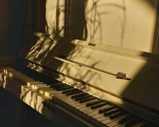 Onlayn piano, nəzəriyyə, musiqi ədəbiyyat dərsləri