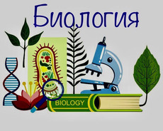 Biologiya fənni üzrə imtahana hazırlıq rus sektoru