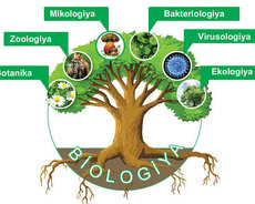 Kimya və biologiya hazırlığı