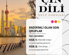 Endirimli Qrup Dərsləri
