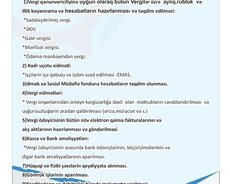 Mühasibatlıq təcrübə proqramı