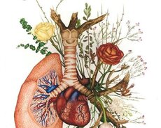 Biologiya online dərslər