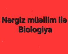 Biologiya müəllimi