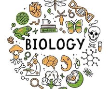 Biologiya hazırlıq