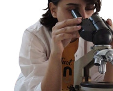Beynəlxalq uğurlara əsaslanan İngilis dili hazırlığı