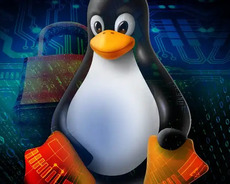 Linux təlimi