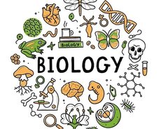 Biologiya dərsləri Onlayn