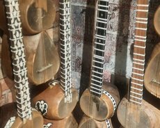 Tar dərsləri Öyrədilir (Professional)