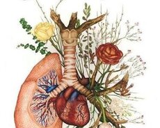 Biologiya hazırlıq