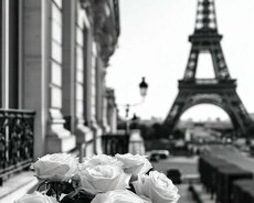 Fransız dili dərsləri