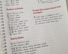 Koreya dili- Nübar Kəbirova