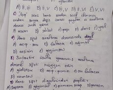 Azərbaycan dili və ədəbiyyat hazırlığı