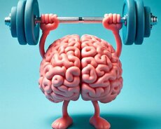 3-5 ci sinif Məntiq dərsləri