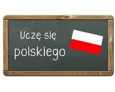 Polyak dili/ Polski język A1 - B2