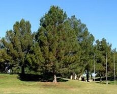 Coğrafiya fənnindən abutirent hazirliği