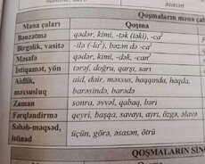 Onlayn Alman informatika dərsləri