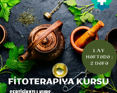 Teammed Fitoterapiya Kursu