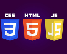 Sürətləndirilmiş Proqram, Təməl Veb Proqramlaşdırma