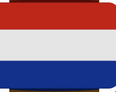 Nederland dili üzrə müəllim