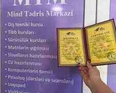 Hazırlıq lursları