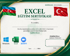 Excel Təlimi – Zoom üzərində praktiki dərslər