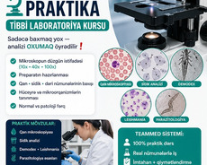 Real laboratoriya praktikası – Mikroskopiya kursu