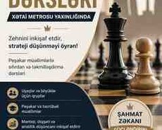 Şahmat dərsləri