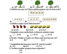 Az Dili Riyaziyyat Tarix Məntiq Dərsləri İbtidai Sinif